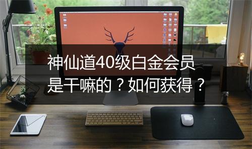 神仙道40级白金会员是干嘛的？如何获得？