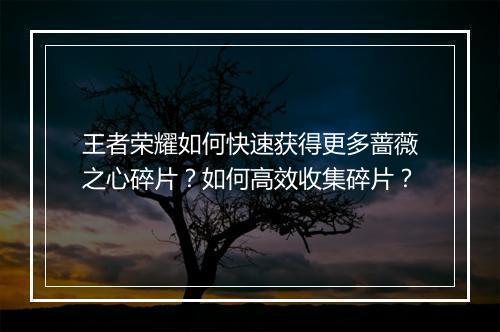 王者荣耀如何快速获得更多蔷薇之心碎片？如何高效收集碎片？