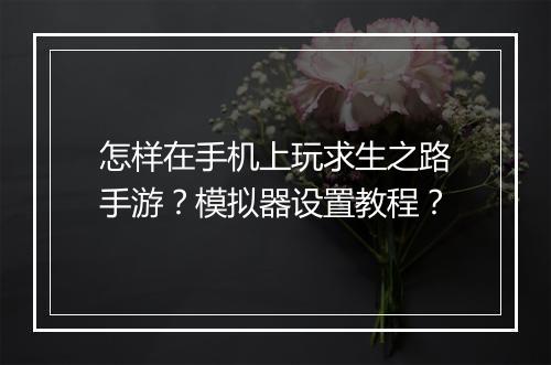 怎样在手机上玩求生之路手游?模拟器设置教程?