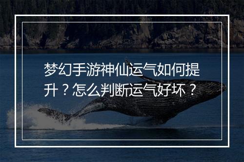 梦幻手游神仙运气如何提升?怎么判断运气好坏?