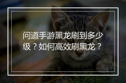 问道手游黑龙刷到多少级?如何高效刷黑龙?