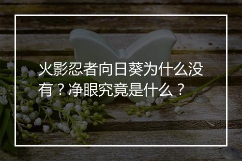 火影忍者向日葵为什么没有?净眼究竟是什么?