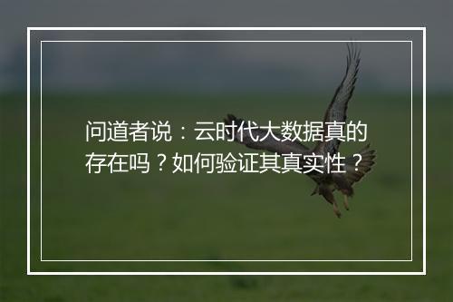 问道者说:云时代大数据真的存在吗?如何验证其真实性?