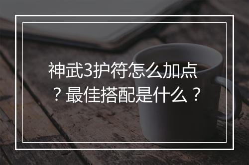 神武3护符怎么加点?最佳搭配是什么?
