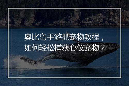 奥比岛手游抓宠物教程,如何轻松捕获心仪宠物?