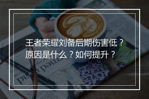 王者荣耀刘备后期伤害低?原因是什么?如何提升?