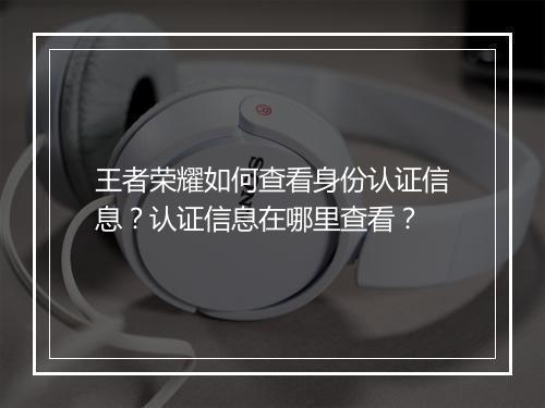 王者荣耀如何查看身份认证信息?认证信息在哪里查看?