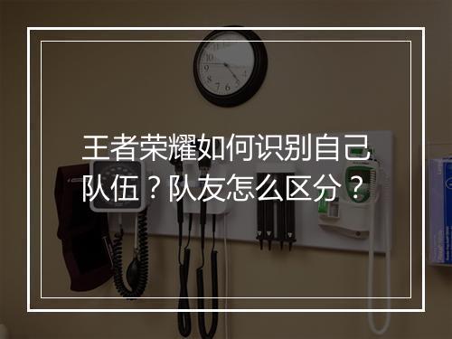 王者荣耀如何识别自己队伍?队友怎么区分?