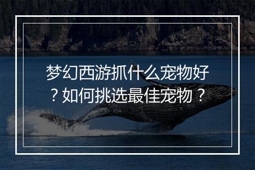 梦幻西游抓什么宠物好?如何挑选最佳宠物?