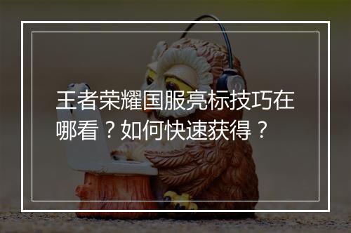 王者荣耀国服亮标技巧在哪看?如何快速获得?