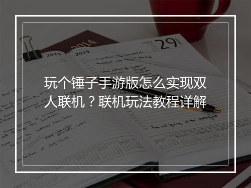 玩个锤子手游版怎么实现双人联机?联机玩法教程详解