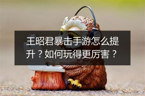 王昭君暴击手游怎么提升?如何玩得更厉害?