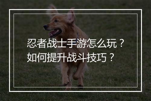 忍者战士手游怎么玩?如何提升战斗技巧?