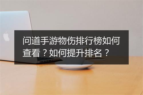 问道手游物伤排行榜如何查看？如何提升排名？