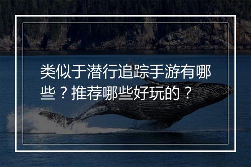 类似于潜行追踪手游有哪些？推荐哪些好玩的？