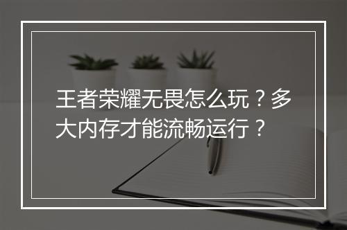 王者荣耀无畏怎么玩？多大内存才能流畅运行？