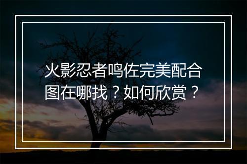火影忍者鸣佐完美配合图在哪找?如何欣赏?