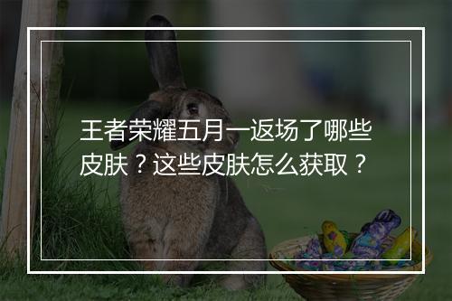 王者荣耀五月一返场了哪些皮肤?这些皮肤怎么获取?
