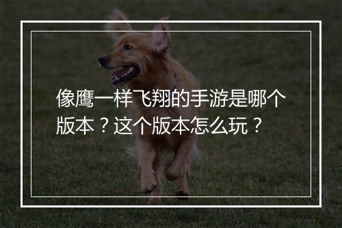 像鹰一样飞翔的手游是哪个版本？这个版本怎么玩？