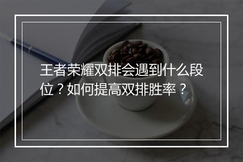 王者荣耀双排会遇到什么段位?如何提高双排胜率?