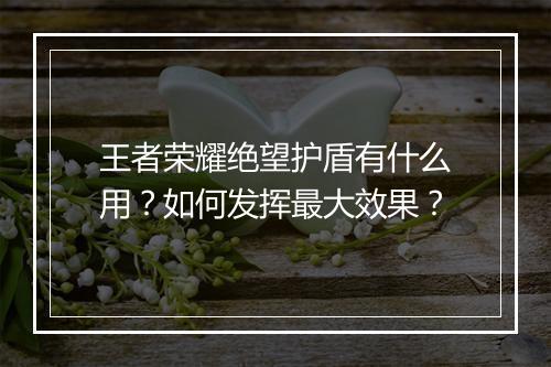 王者荣耀绝望护盾有什么用？如何发挥最大效果？