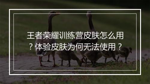 王者荣耀训练营皮肤怎么用？体验皮肤为何无法使用？