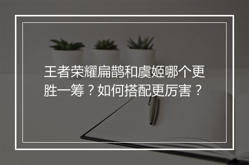 王者荣耀扁鹊和虞姬哪个更胜一筹？如何搭配更厉害？