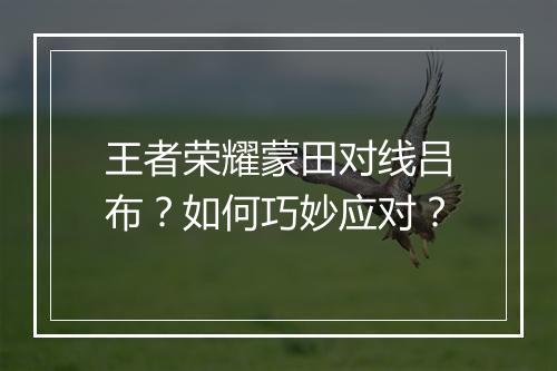王者荣耀蒙田对线吕布？如何巧妙应对？