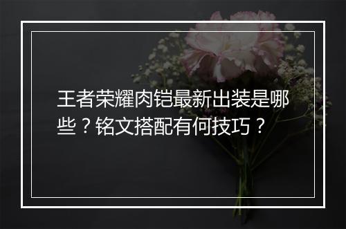 王者荣耀肉铠最新出装是哪些?铭文搭配有何技巧?