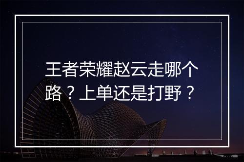 王者荣耀赵云走哪个路？上单还是打野？