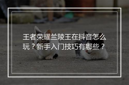 王者荣耀兰陵王在抖音怎么玩?新手入门技巧有哪些?