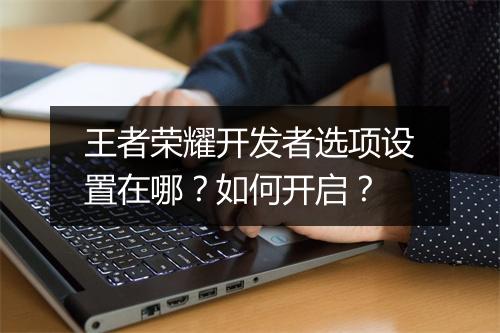 王者荣耀开发者选项设置在哪？如何开启？