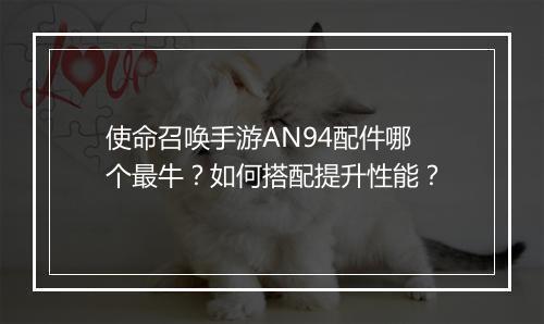 使命召唤手游AN94配件哪个最牛？如何搭配提升性能？