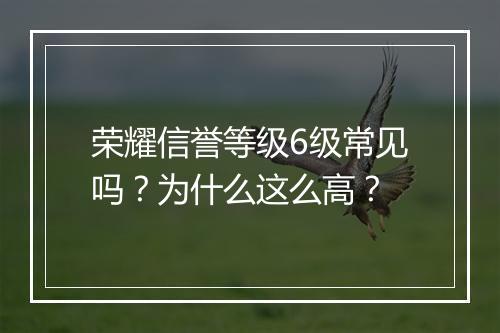 荣耀信誉等级6级常见吗？为什么这么高？