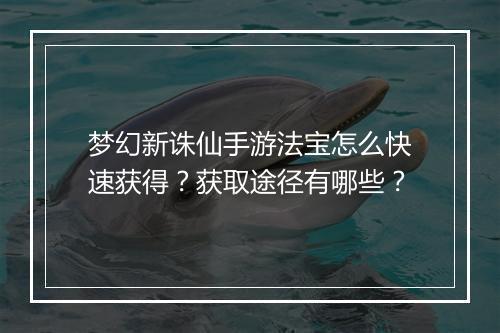 梦幻新诛仙手游法宝怎么快速获得？获取途径有哪些？