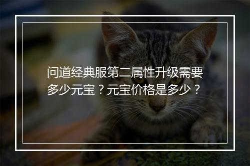 问道经典服第二属性升级需要多少元宝?元宝价格是多少?