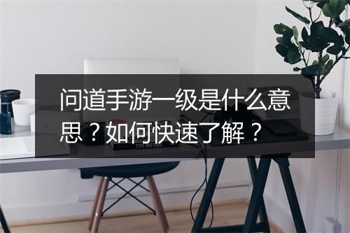问道手游一级是什么意思？如何快速了解？