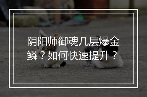 阴阳师御魂几层爆金鳞?如何快速提升?