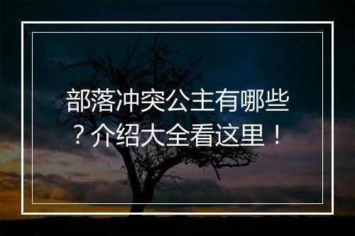 部落冲突公主有哪些？介绍大全看这里！