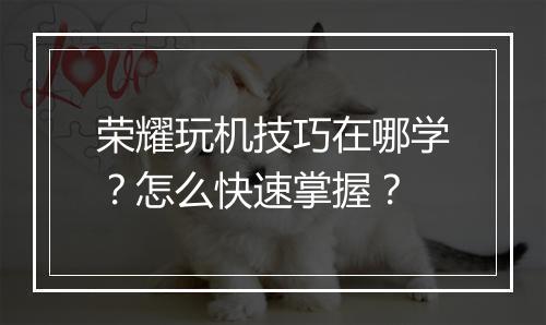 荣耀玩机技巧在哪学?怎么快速掌握?