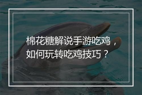 棉花糖解说手游吃鸡,如何玩转吃鸡技巧?