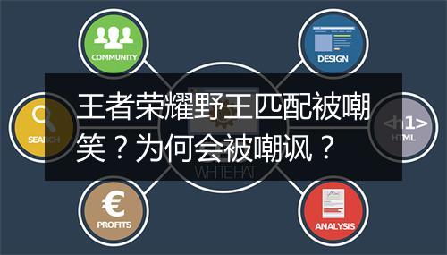 王者荣耀野王匹配被嘲笑？为何会被嘲讽？