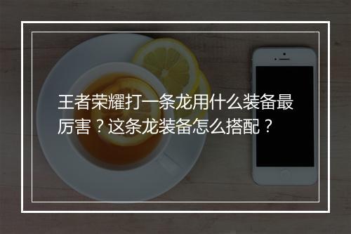 王者荣耀打一条龙用什么装备最厉害?这条龙装备怎么搭配?