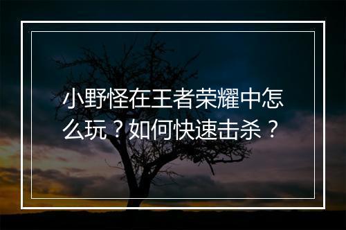 小野怪在王者荣耀中怎么玩？如何快速击杀？
