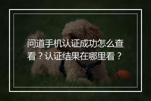 问道手机认证成功怎么查看?认证结果在哪里看?