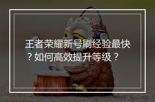 王者荣耀新号刷经验最快？如何高效提升等级？