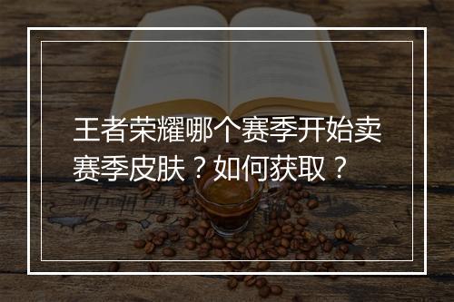 王者荣耀哪个赛季开始卖赛季皮肤?如何获取?
