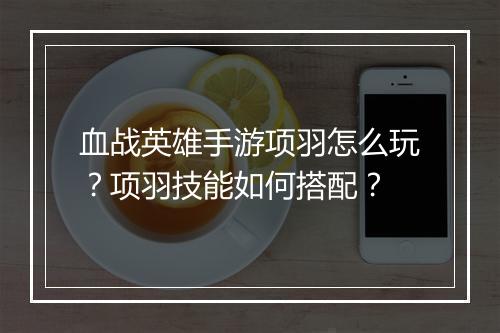 血战英雄手游项羽怎么玩?项羽技能如何搭配?