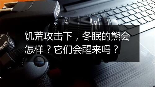 饥荒攻击下,冬眠的熊会怎样?它们会醒来吗?