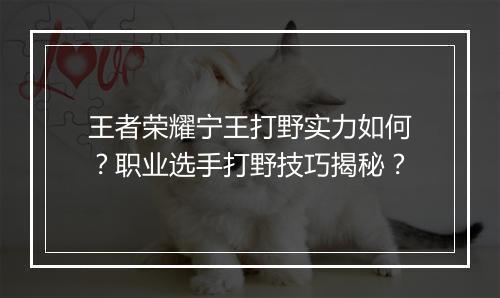 王者荣耀宁王打野实力如何?职业选手打野技巧揭秘?